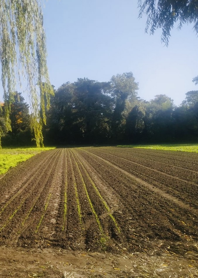 Amplia quinta con pileta, cancha de futbol y sector de sembrado  Batan