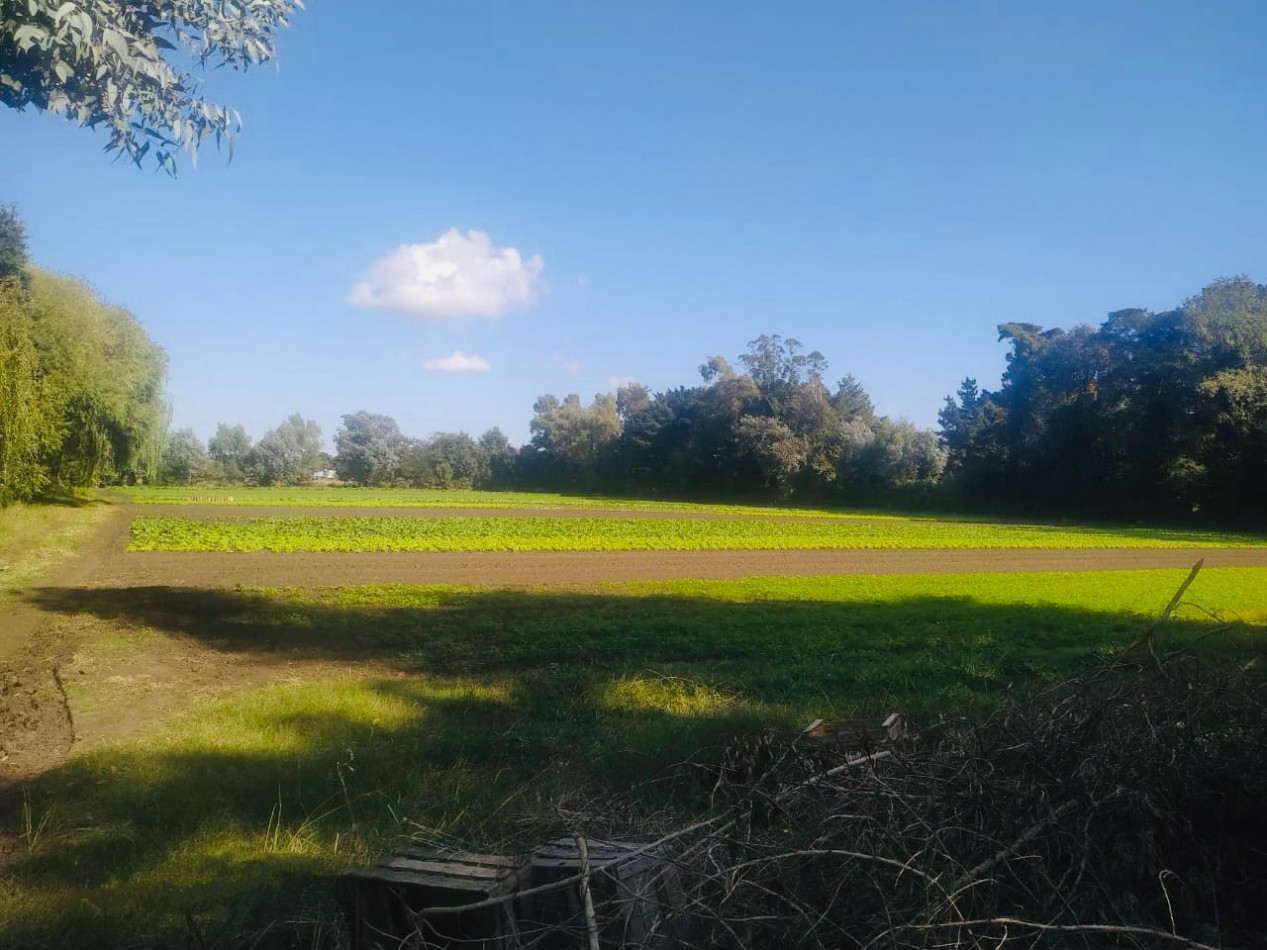 Amplia quinta con pileta, cancha de futbol y sector de sembrado  Batan