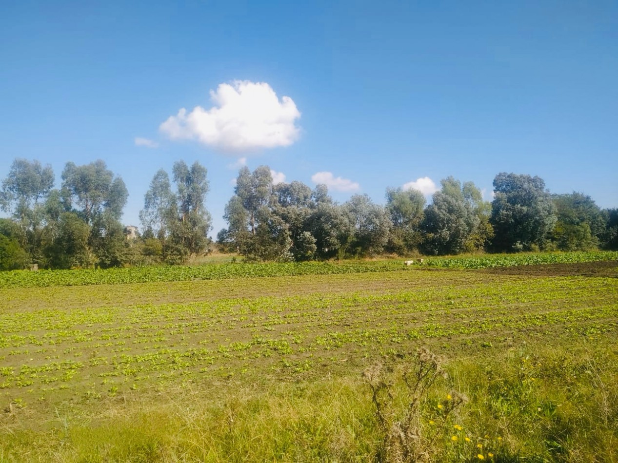 Amplia quinta con pileta, cancha de futbol y sector de sembrado  Batan