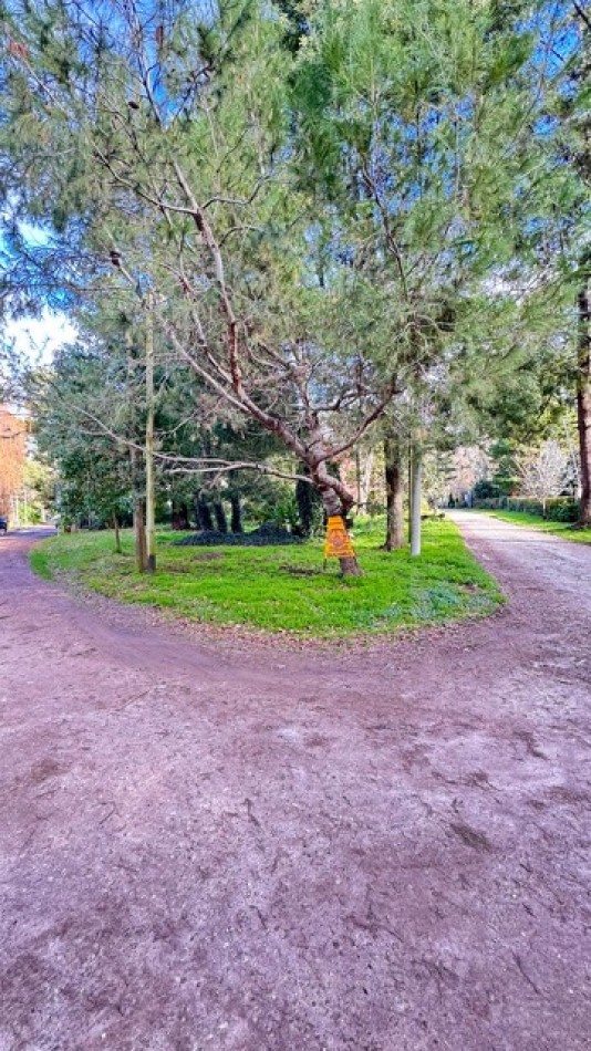 VENTA LOTE EN ESQUINA BOSQUE PERALTA RAMOS