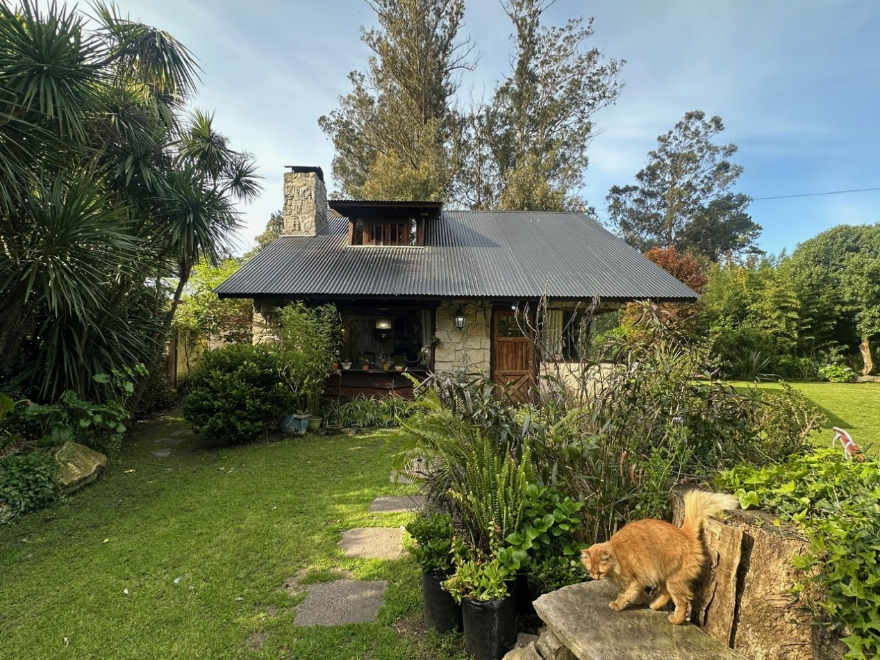 Casa desarrollada sobre dos amplios lotes Bosque P. Ramos