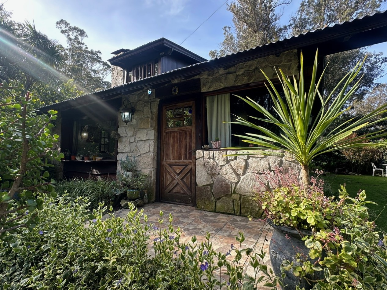 Casa desarrollada sobre dos amplios lotes Bosque P. Ramos