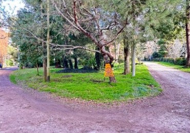 VENTA LOTE EN ESQUINA BOSQUE PERALTA RAMOS